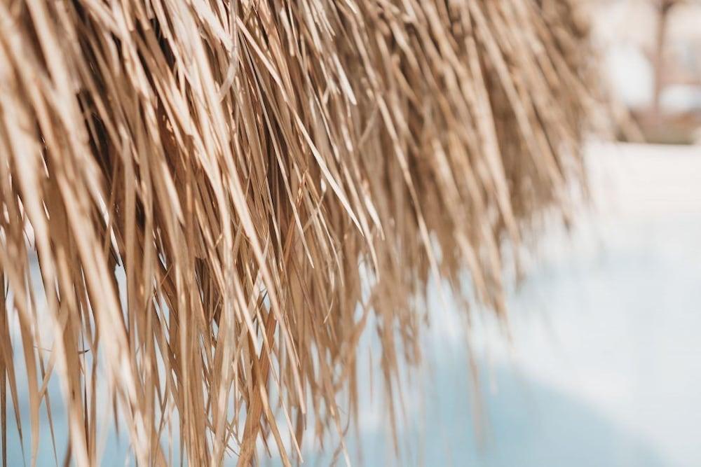 Canggu Village Accommodation エクステリア 写真